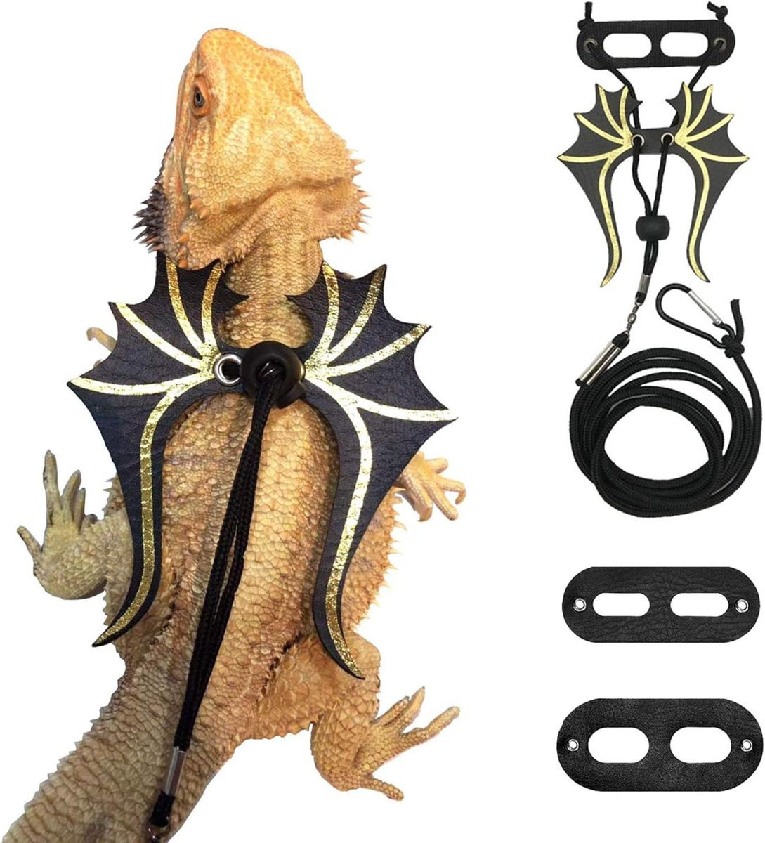 Harnais dragon barbu ailes : 3 tailles, style dinosaure